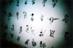 LCA01_2005_17