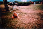 LCA02_2005_02