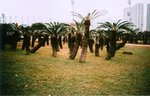 LCA02_2005_04