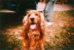 LCA02_2005_08