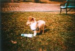LCA02_2005_10
