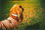 LCA02_2005_11