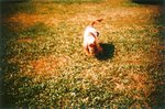 LCA02_2005_14