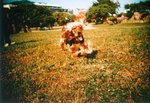 LCA02_2005_15