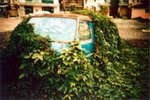 LCA03_2005_17