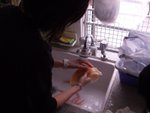 20061216_T013