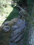 20061217_T020