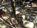 20061217_T025