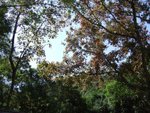 20061217_T033