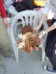 20061225_T021