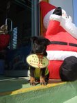 20061225_T031