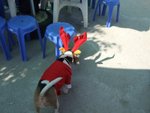20061225_T037