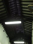 DSCF3337