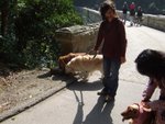DSCF3527
