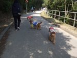 DSCF3545