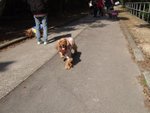 DSCF3549