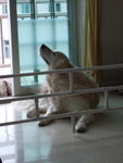 20070224_T37