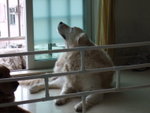 20070224_T38