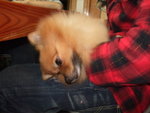 20070303_01