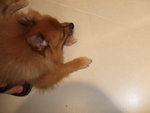 20070303_34