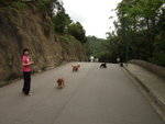 20070401_T03