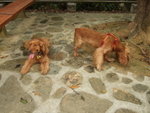 20070401_T05
