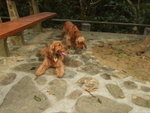 20070401_T06