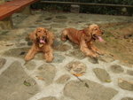 20070401_T07