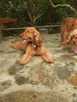 20070401_T10