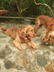 20070401_T11