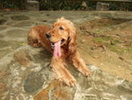 20070401_T12