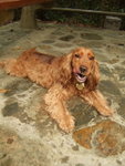 20070401_T13