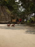 20070401_T14