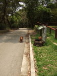 20070401_T17