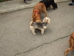 20070401_T18