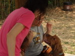 20070401_T22