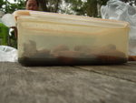 20070401_T25
