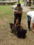 20070401_T28