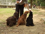 20070401_T29