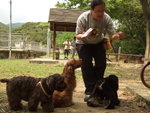 20070401_T30