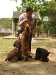 20070401_T31