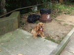 20070415_T003