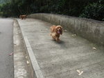 20070415_T004