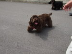 20070415_T006