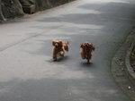 20070415_T010