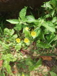 20070415_T016