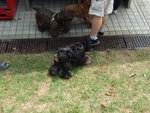 20070415_T019