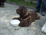 20070415_T020