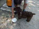 20070415_T021