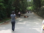 20070415_T022